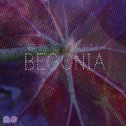 Begonia专辑