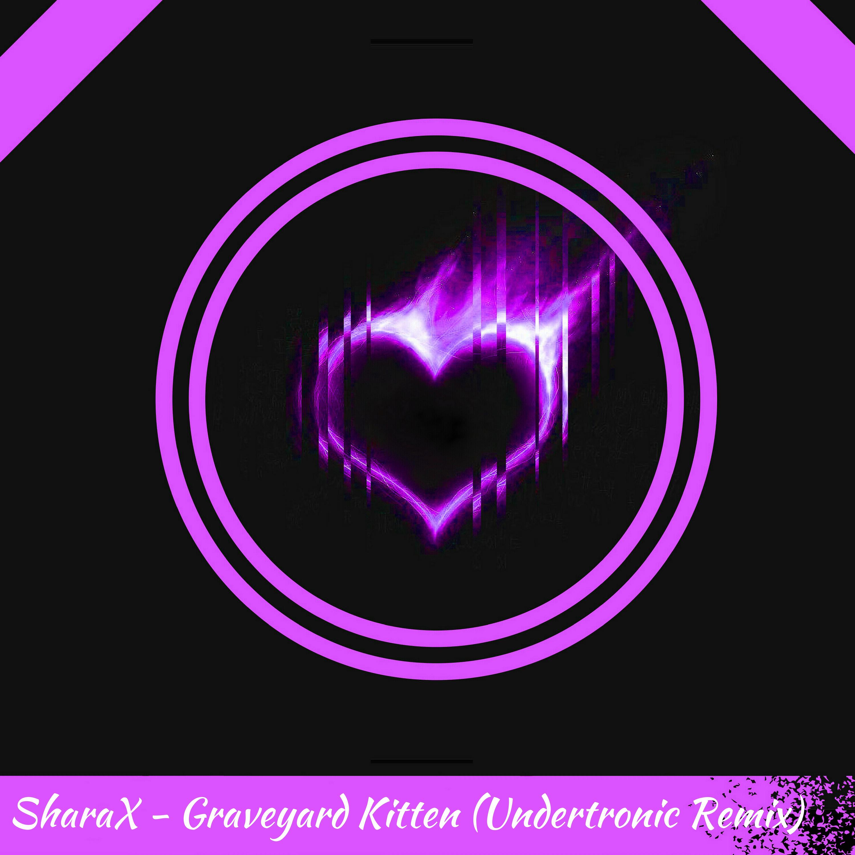 Graveyard Kitten (Undertronic Remix)专辑