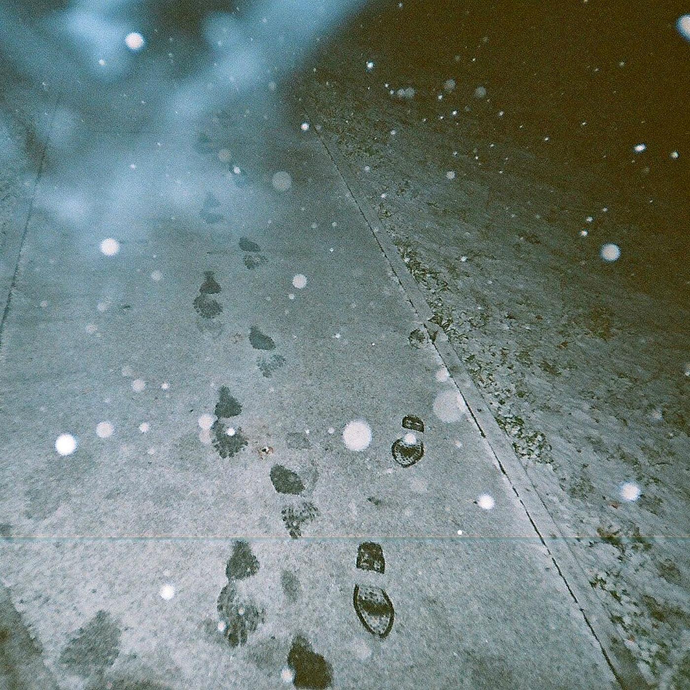 Корень имбиря