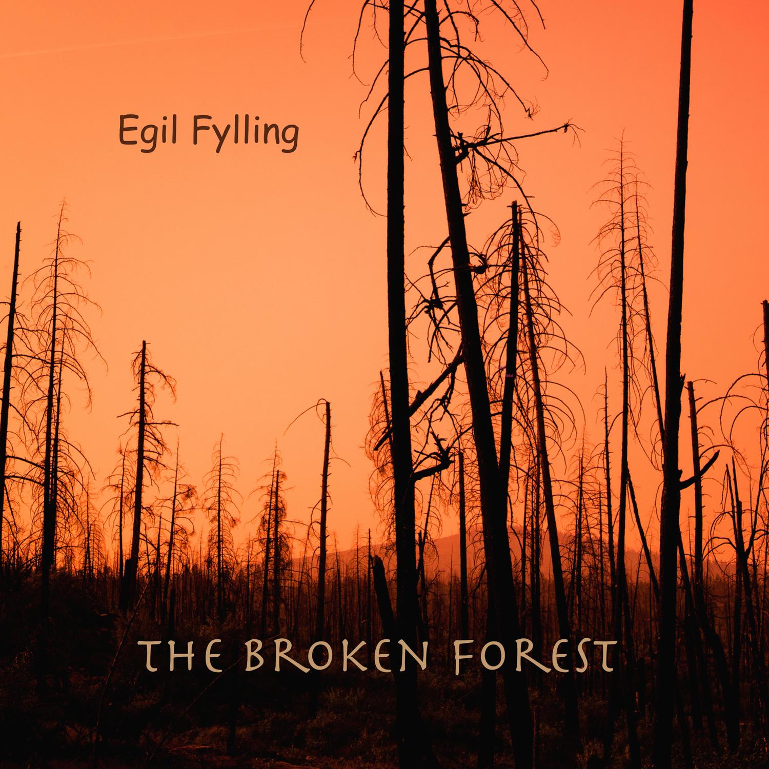The Broken Forest