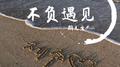 不负遇见专辑