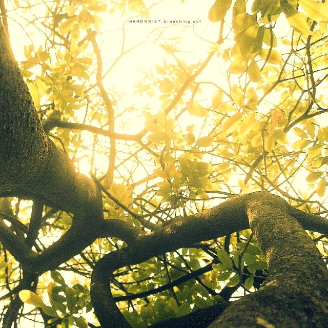 Branching Out