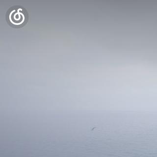 双簧管精选|从《Memory(入殓师插曲单簧管版本)》听起