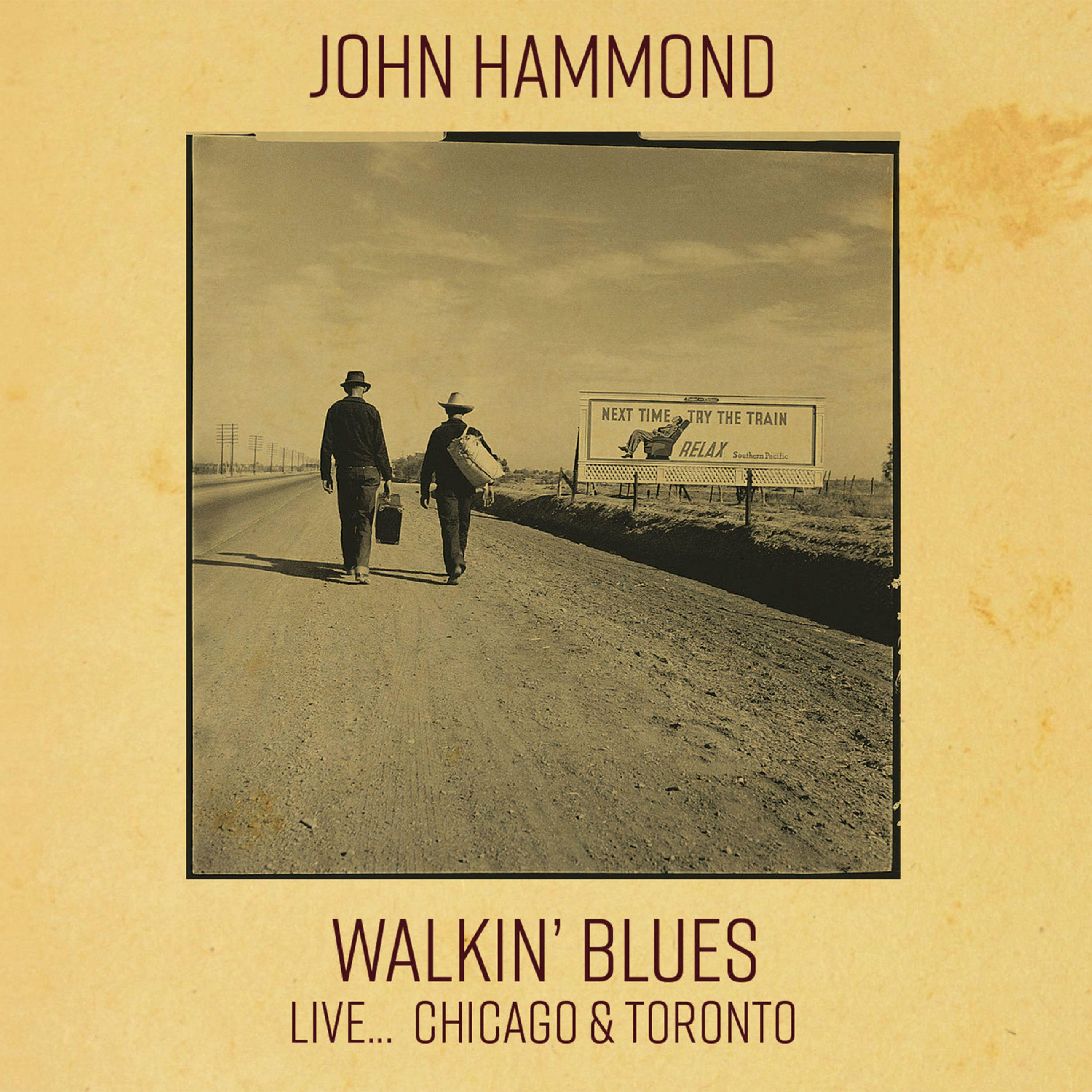 John Hammond - Hellhound On My Trail (Live At The Chicago Blues Festival, Grant Park 16th June 1991)