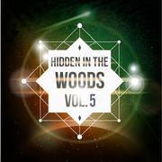 Hidden In The Woods Vol.5