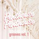 Grooves Vol. 1专辑