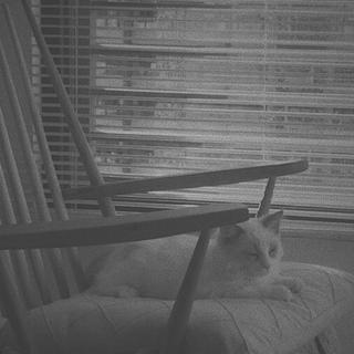 缝 隙 间 透 露 出 阳 光