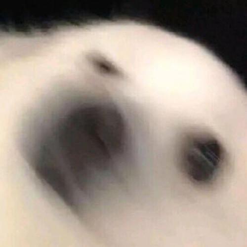 西楼别序 (片段版)