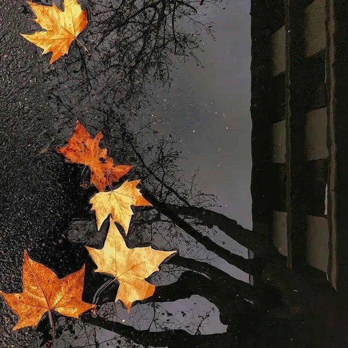 Raushan Orazbaeva-Akku（Tusunjan remix）