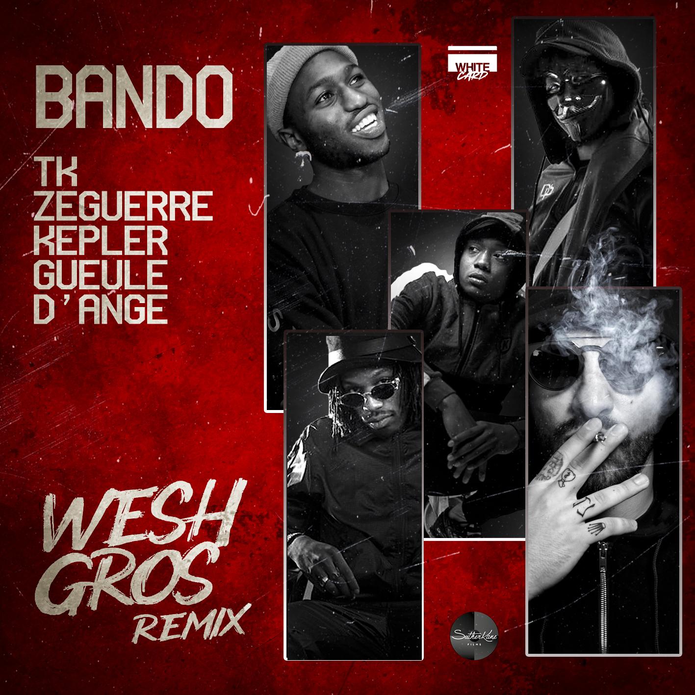 Wesh Gros (Remix)