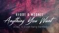Anything You Want (Alexi. & Evan Berg Remix)专辑
