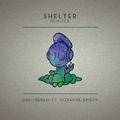 Shelter (Remixes)