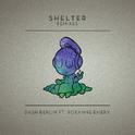 Shelter (Remixes)专辑