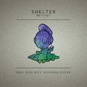 Shelter (Remixes)专辑