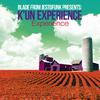 K'un Experience - Waiting to Fly