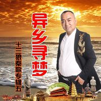 十三狼 - 农民工 (伴奏)