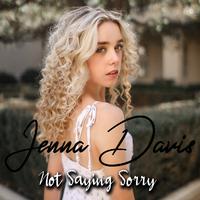 Jenna Davis - Not Saying Sorry (LY Instrumental) 无和声伴奏