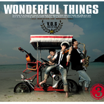 Wonderful Things专辑