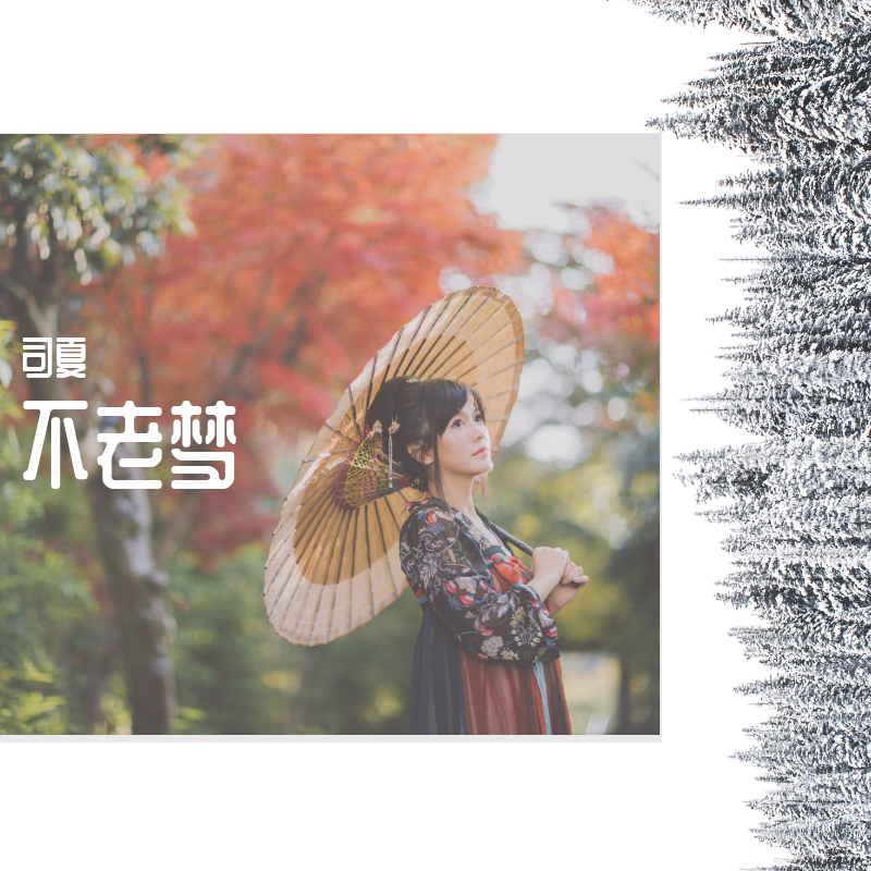 不老梦