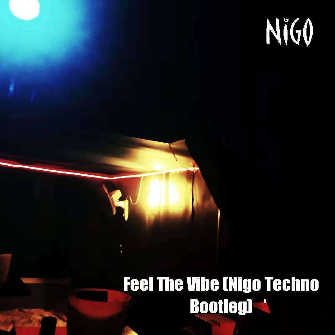 Feel The Vibe (Nigo Techno Bootleg)专辑