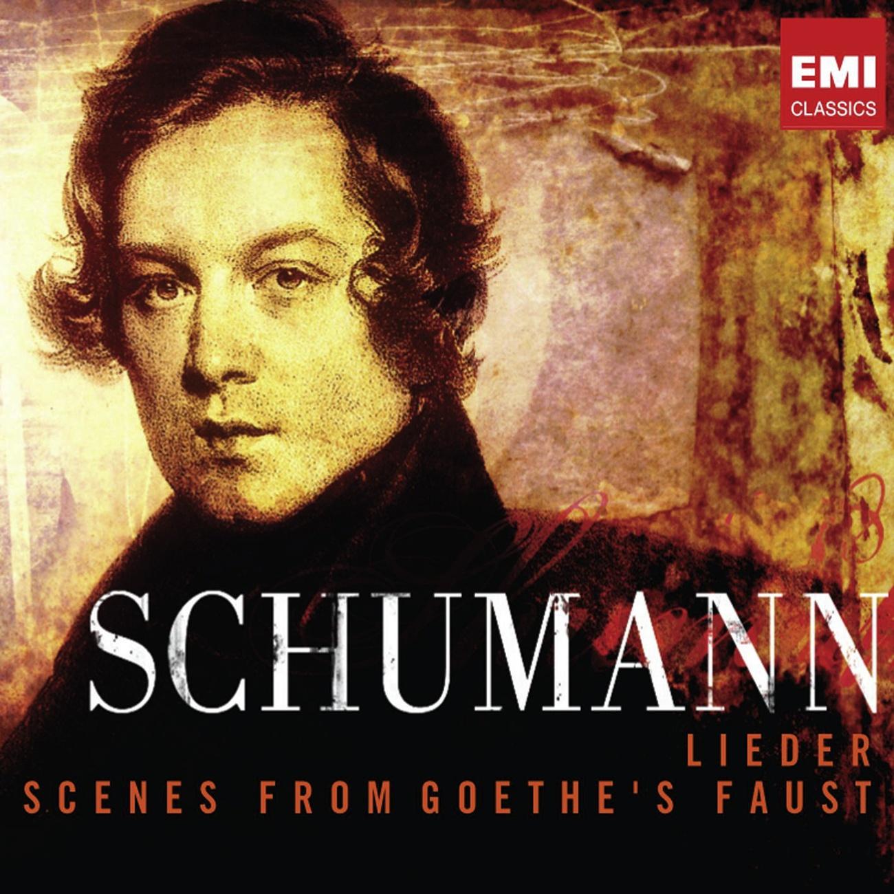 Dichterliebe Op. 48:Im wundersschönen Monat Mai