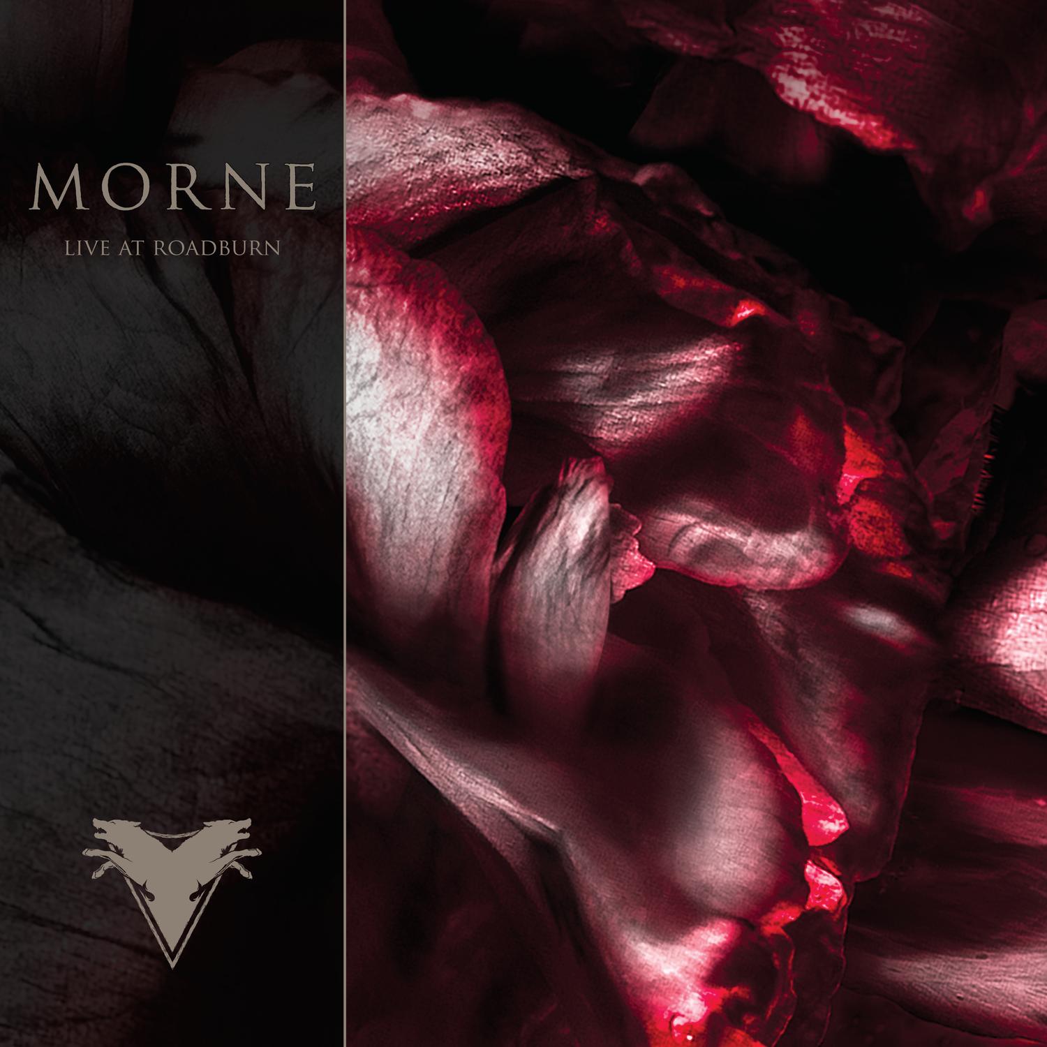 Live at Roadburn