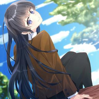 青春猪头少年不会梦到兔女郎学姐op ed原声