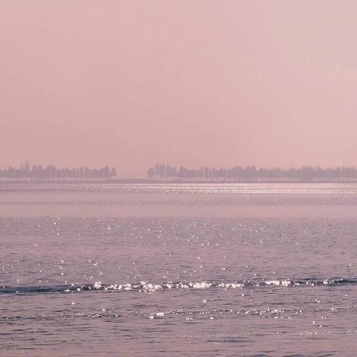 沉沦与遐想