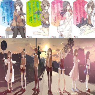 青春猪头少年不会梦到兔女郎学姐