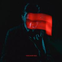 Voices In My Head (Will Mind Edit)