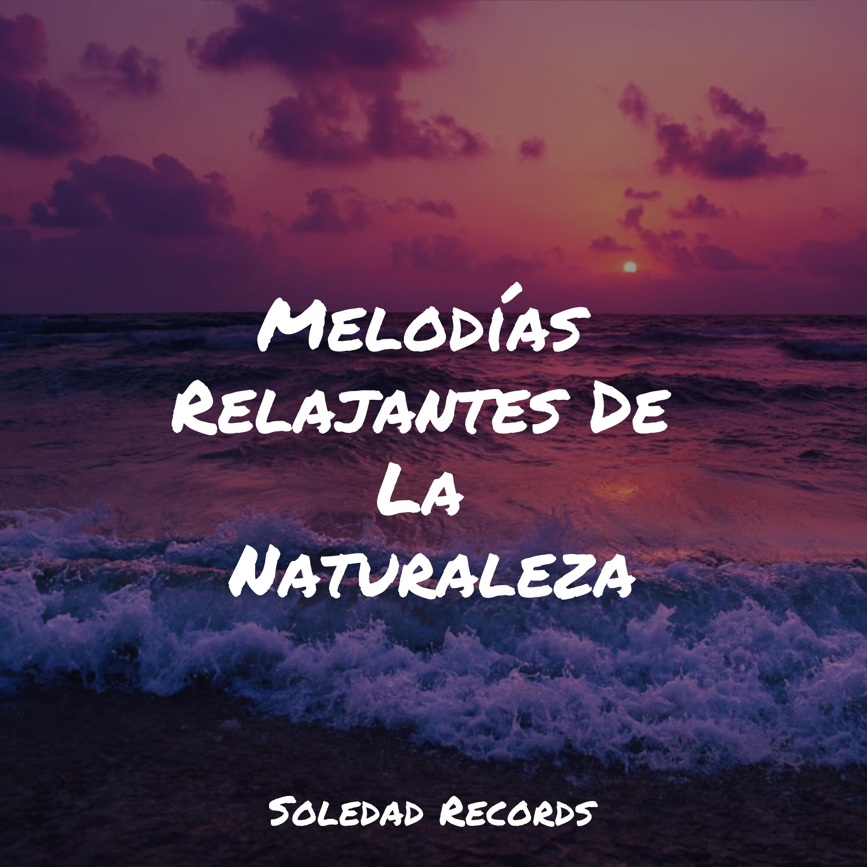 Melodías Relajantes De La Naturaleza