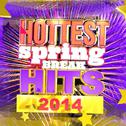 Hottest Spring Break Hits 2014专辑