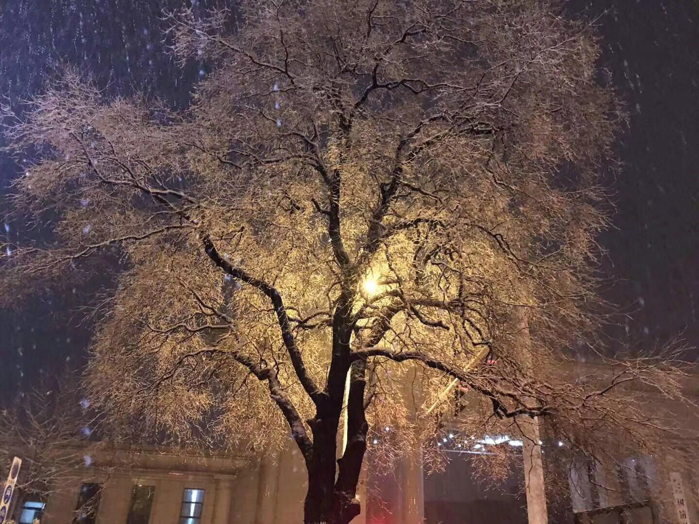 悲伤的人专辑