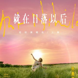 2026 孙燕姿「就在日落以后」演唱会 长沙站