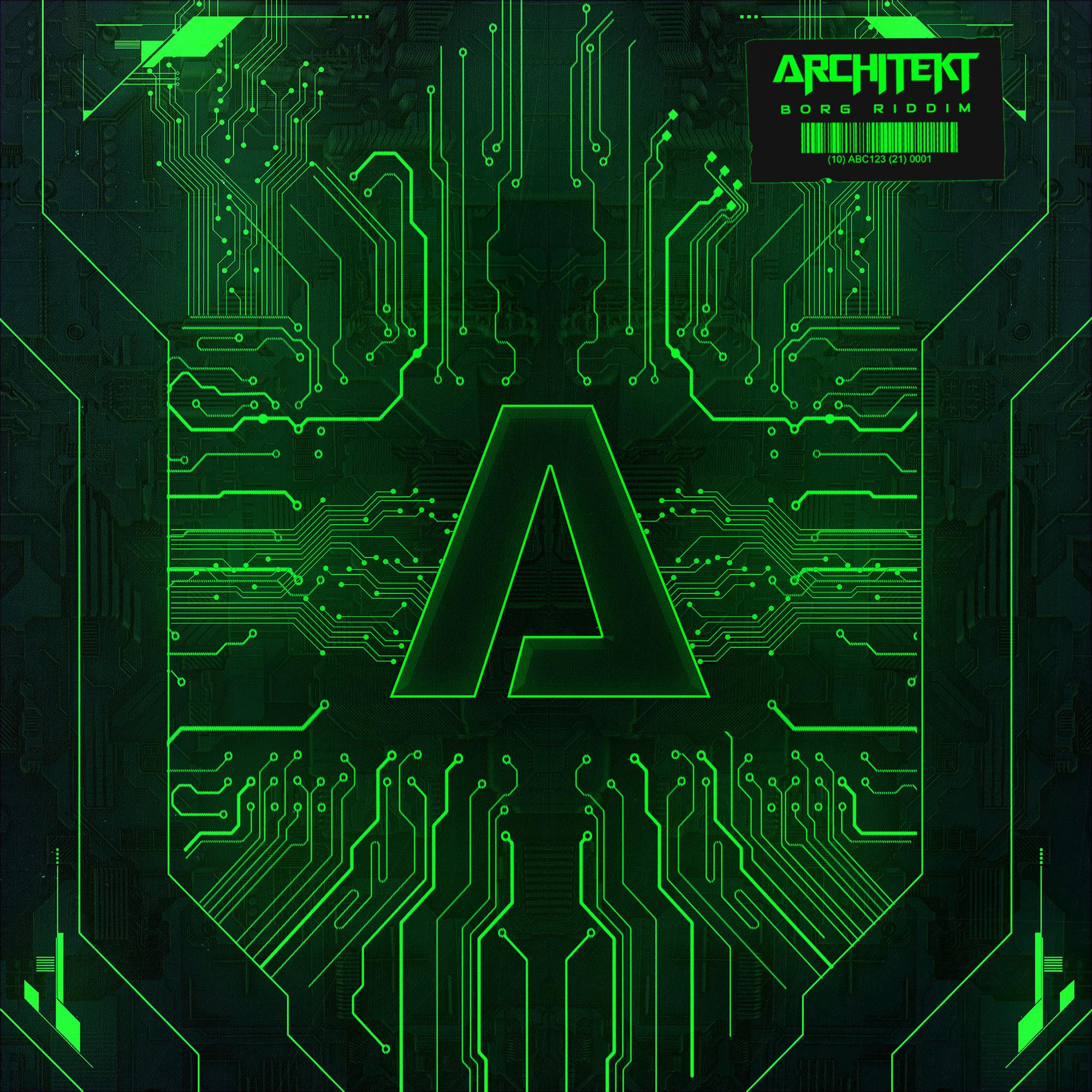 BORG RIDDIM