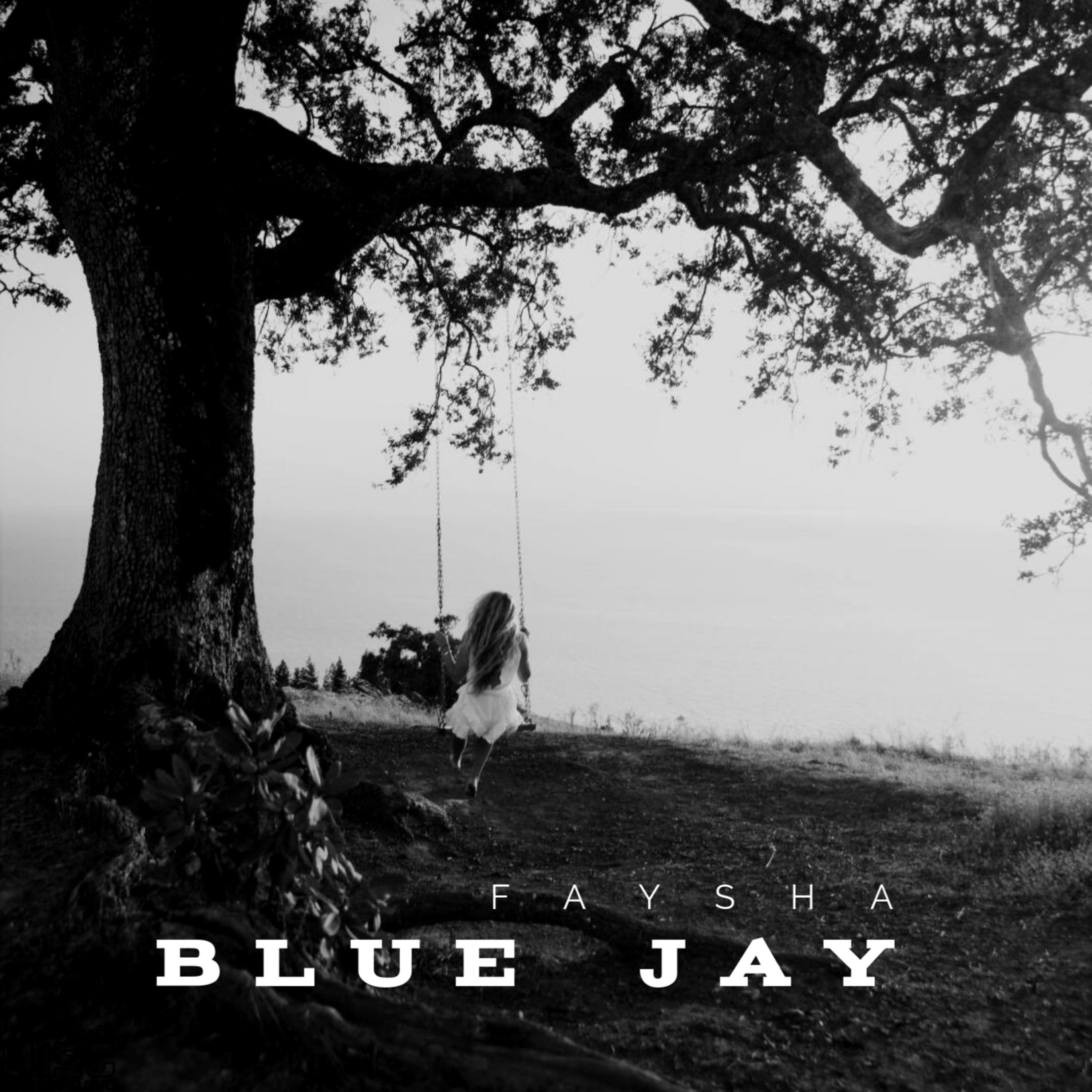 Blue Jay - Faysha - 专辑 - 网易云音乐