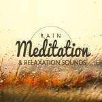 Rain Meditation & Relaxation Sounds专辑