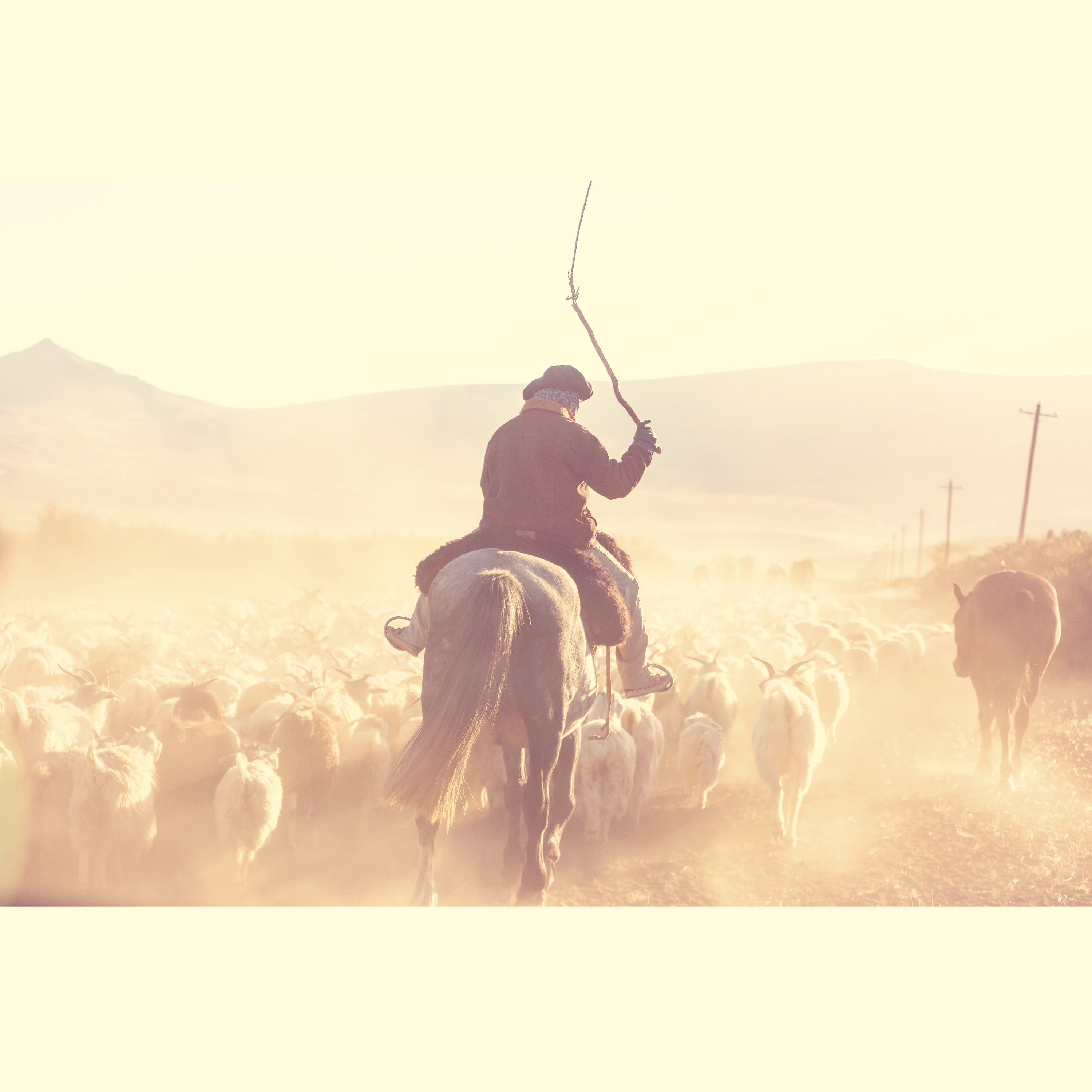 我的阿勒泰（My Altay，My Hometown）