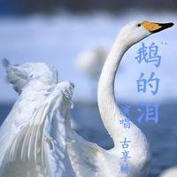 古享林 - 鹅的泪(原版立体声伴奏)