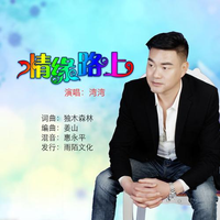 湾湾 - 情缘路上(原版立体声伴奏)