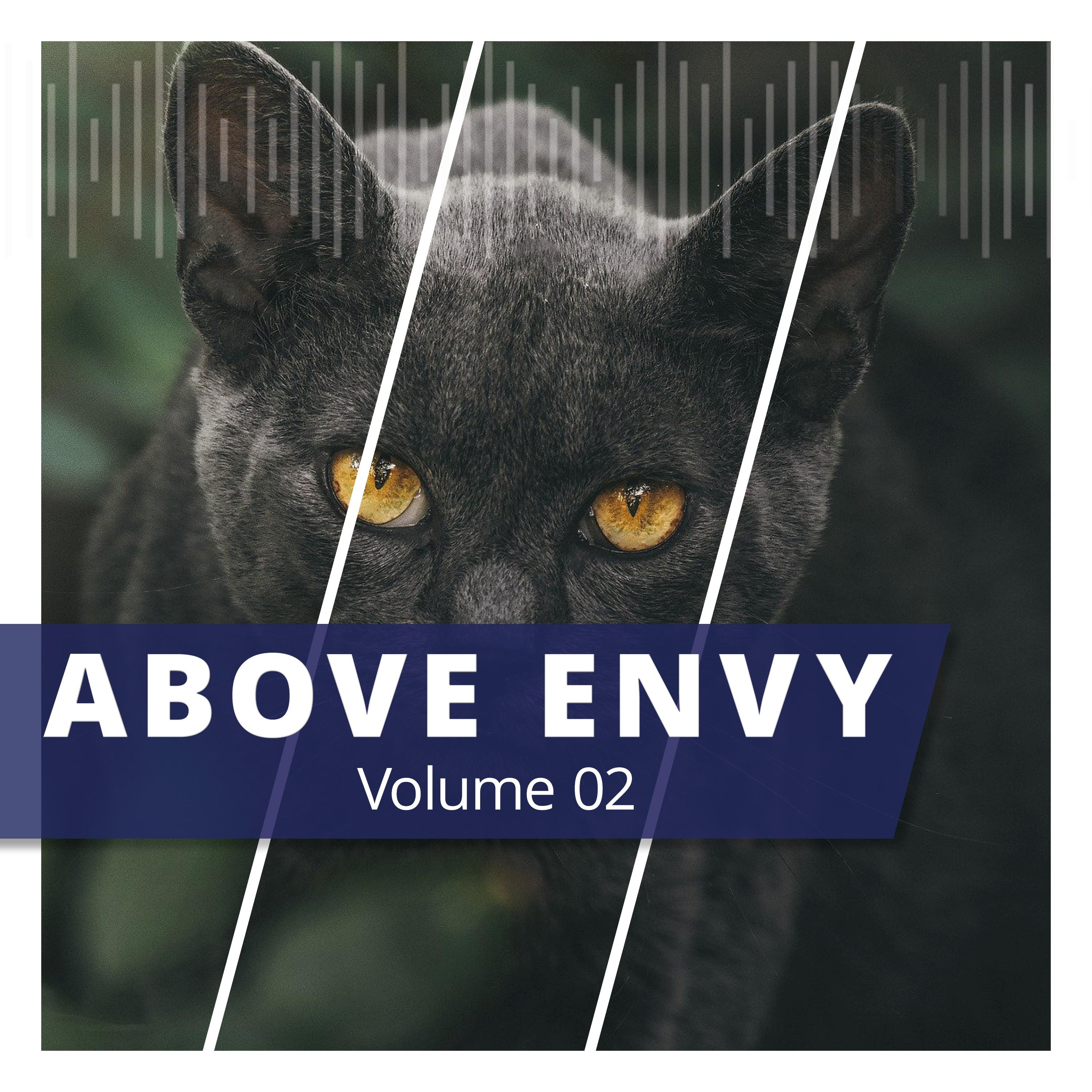 Above Envy, Vol. 2