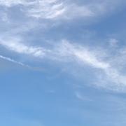 青蓝花的约定