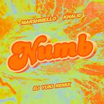 Numb (DJ YUKI Remix)专辑