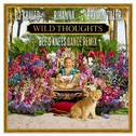 Wild Thoughts (Bee's Knees Dance Remix)专辑