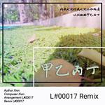 甲乙丙丁.L#00017 Remix专辑