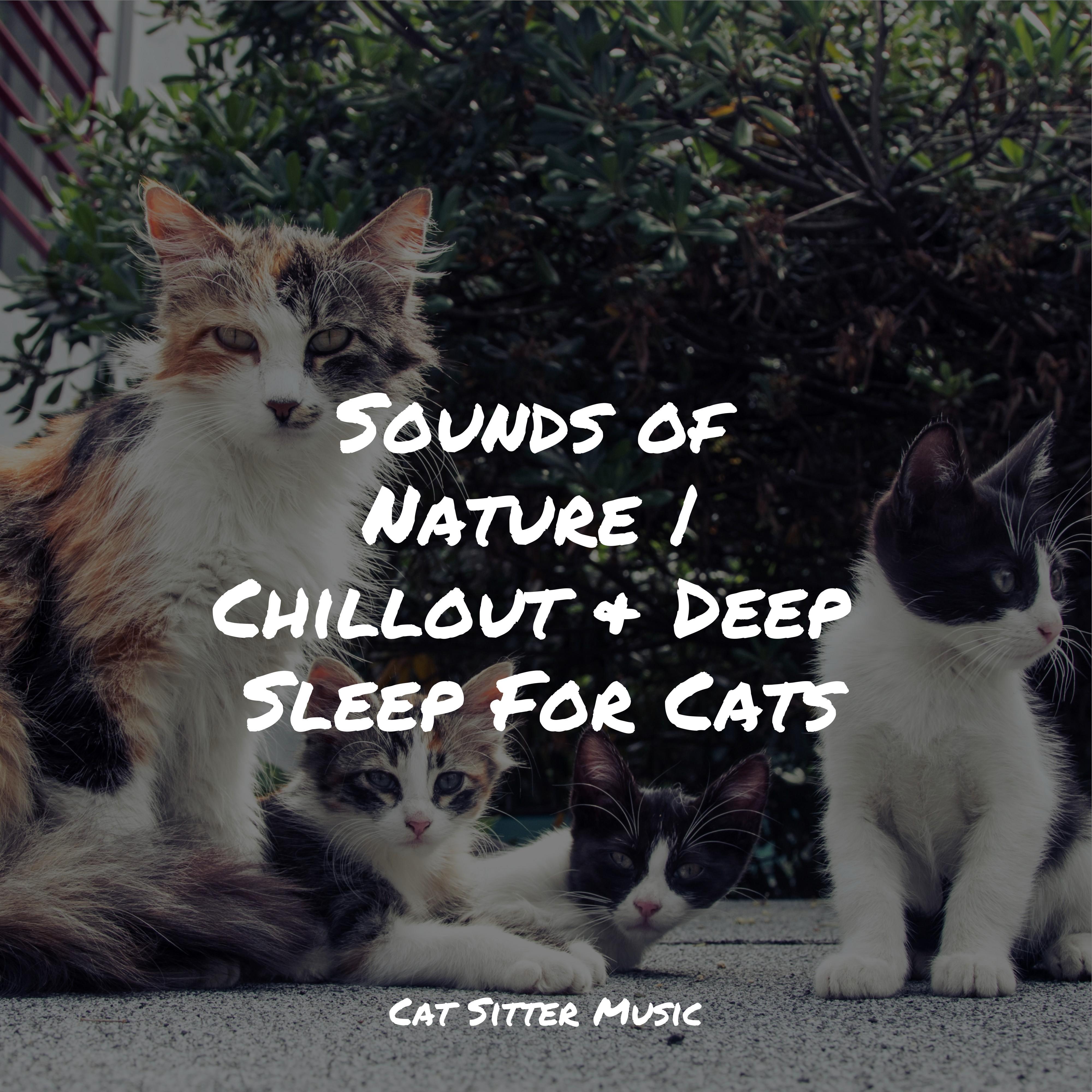 Jazz Music for Cats - Delta Zen