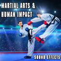 Martial Arts & Human Impact Sound Effects专辑