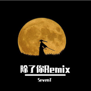 SEVENT-除了你Remix（SevenT remix）