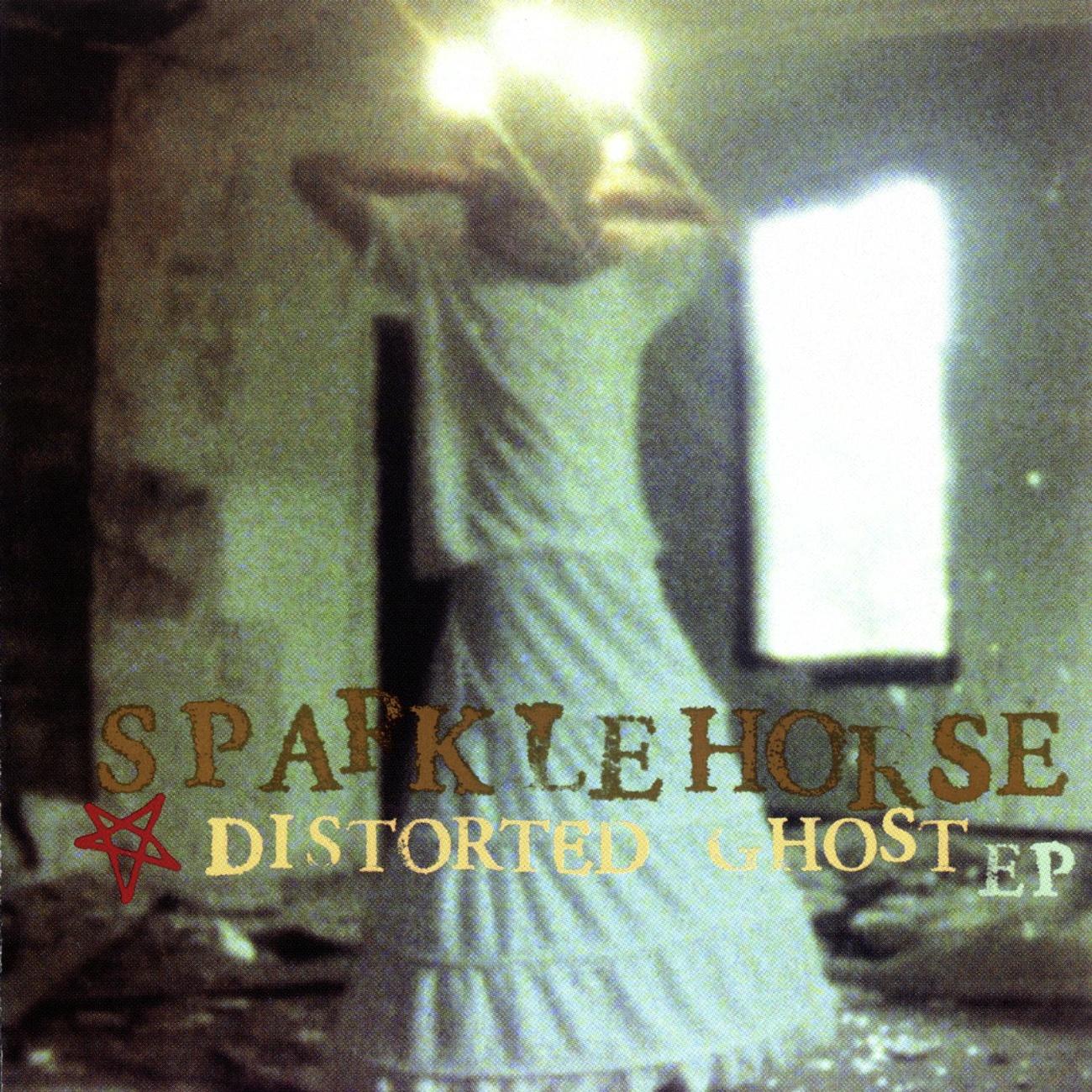 Distorted Ghost