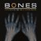 Bones Theme (Remixes)专辑